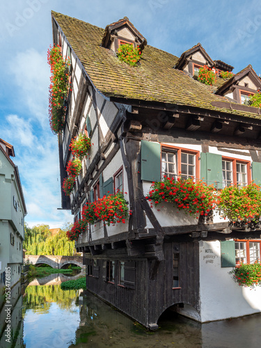 Obraz na płótnie Altes Fachwerkhaus, Schiefes Haus, im Fischerviertel in Ulm, Baden-Württemberg, Deutschland w salonie