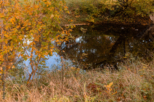 Yellow and red leaves on the trees. Autumn landscape. Nature in October