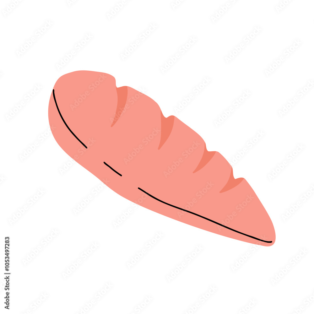 Fototapeta premium Chicken meat part set, parts of carcass, brisket wing, fillet, legs, heart, neck, feet, whole chicken. vector Illustrations on a white background