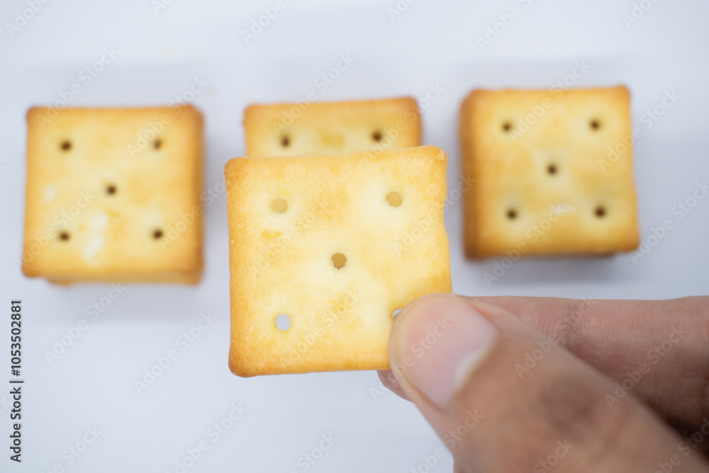 biscuits in hand isolated on white background. biscuits in hand isolated on white background.