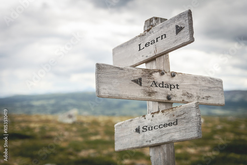 learn adapt succeed text quote written on wooden signpost at the crossroads outdoors in nature. photo