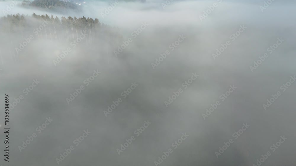 Misty Landscape with Pine Forest Aerial View Misty Landscape with Pine Forest Aerial View