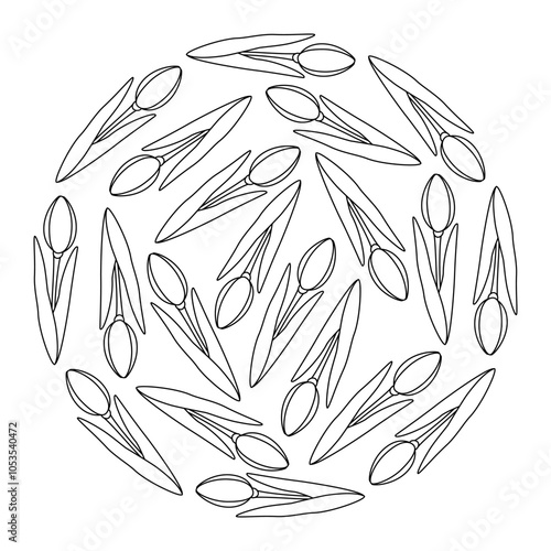 Outline tulips Circle Black and white Background texture in trendy minimalism. Greetings template