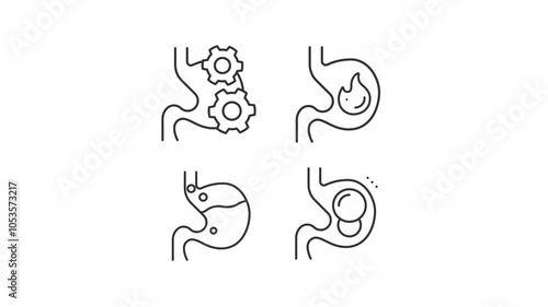 Stomach related line animations. Animated internal organs icons. Digestive system. Metabolism concept. Black illustrations on white background. HD video with alpha channel. Motion graphic photo