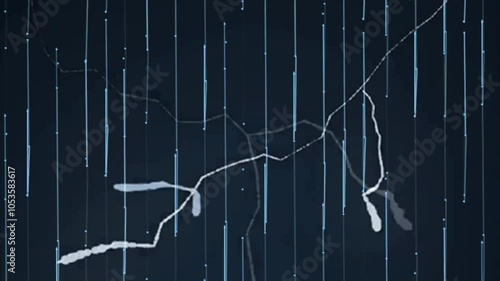 Rain and lightning animations, animations 