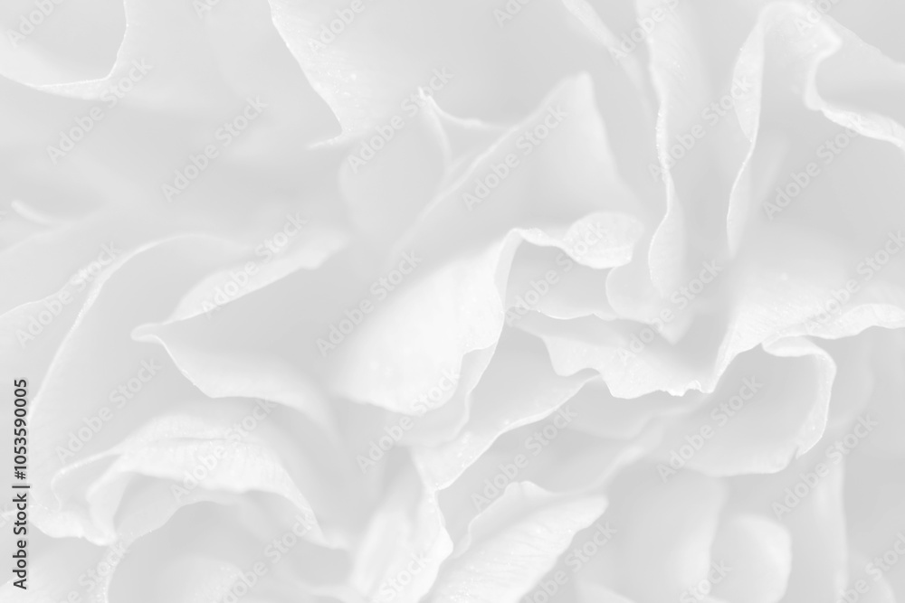 Fototapeta premium Elegant White Curve Background for Modern Designs