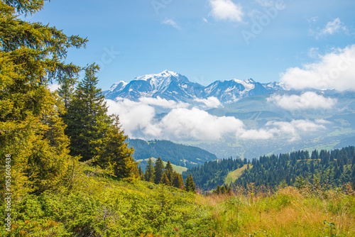 The summit of Mont Blanc (White Mountain), the highest peak in Europe, and the valley of the village of Megeve. Green pines on the left.