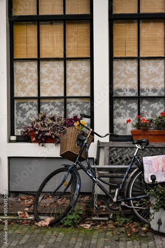 Photography Bike during fall in Amsterdam