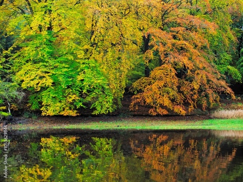 Autumn foliage reflected in a tranquil lake, vibrant colors of fall. Entwistle Forest Lancashire. photo