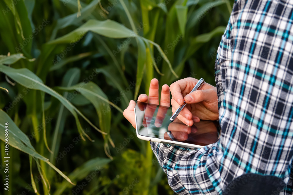 A close-up of a male farmer using a stylus on a tablet while standing outside in a cornfield. His hands are engaged with the device, focusing on agricultural data or crop management apps