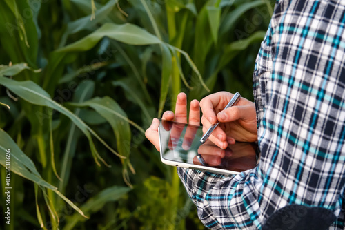 Obraz na płótnie A close-up of a male farmer using a stylus on a tablet while standing outside in a cornfield. His hands are engaged with the device, focusing on agricultural data or crop management apps w salonie