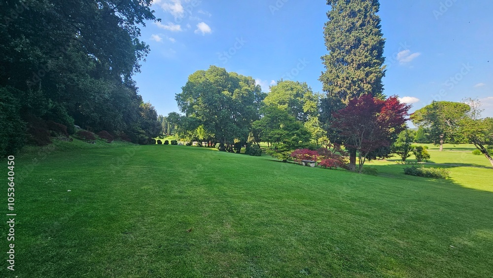 Naklejka premium spring in the park