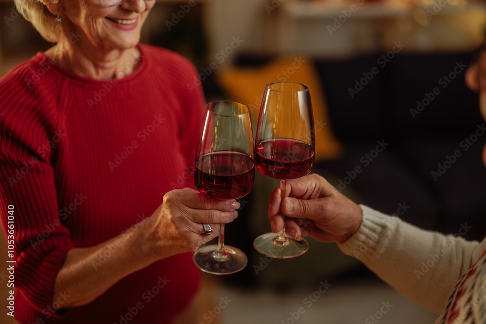 Elderly couple raising a toast Elderly couple raising a toast