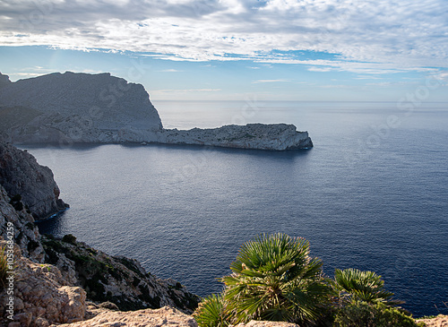 Landscape photography of cliffs and rocky coast, palm, bay, stones, The Mediterranean Sea, tourism, vacation, Spain, Mallorca, Cala San Vicente photo