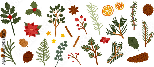 Christmas and Winter Botanical Plants Vector Set