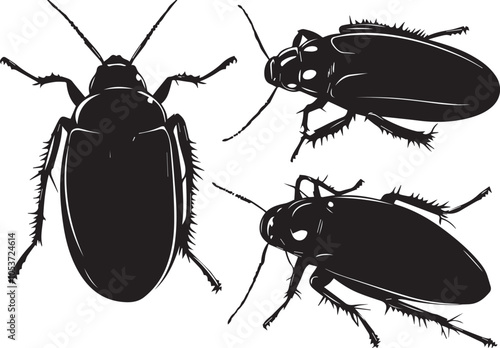 Set cockroach. Hand drawn vector illustration	