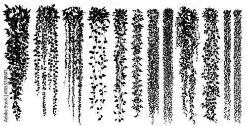 Jungle liana climbing plants, wild rainforest vines branches with leaves isolated in a modern illustration set.