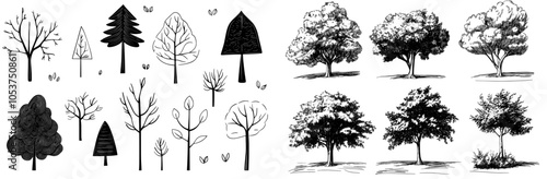 A set of modern trees, filled with strokes of white. Minimalistic landscape design drawing for architecture. Tropical oak tree, tree line drawing, botanical illustration.