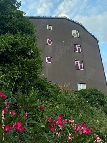 old house with flowers
