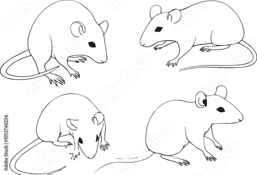 Set rats. Hand drawn vector illustration	