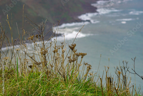 Beautiful coastal path senda de los miradores en Muros de Nalon, Asturias, Spain photo