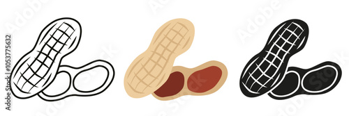 Peanut nut. Illustration of peanuts in different styles. Peanut is a nut for your advertising.