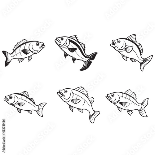 Bass fish vector silhouette