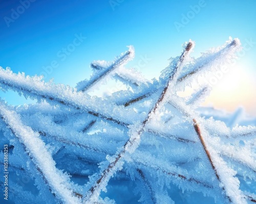 Frost-Covered Branches in Morning Light Capturing the Cold Winter Beauty with a Clear Sky Backdrop and Enchanting Frosty Scenes of Nature's Frozen Wonders in Stunning Serenity photo