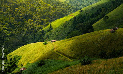 Принти на полотні Lush green hills and valleys create serene landscape, showcasing beauty of nature