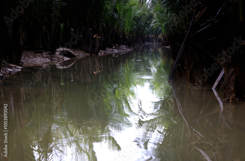 The water channels of Seven-acre coconut forest in Hoi An, Vietnam photo