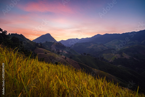 breathtaking landscape at dawn, showcasing rolling hills and vibrant golden grass under colorful sky. serene atmosphere invites tranquility and appreciation of natures ,baanphawiang ,Pua,Nan, thailand photo