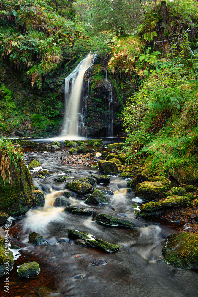 Obraz premium Hindhope Linn in portrait, a waterfall located at the northern end of the Kielder Forest Drive in Northumberland