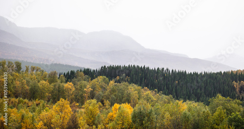 Beautiful autumn scenery of rural Northern Norway. Seasonal scenery of Scandinavia.