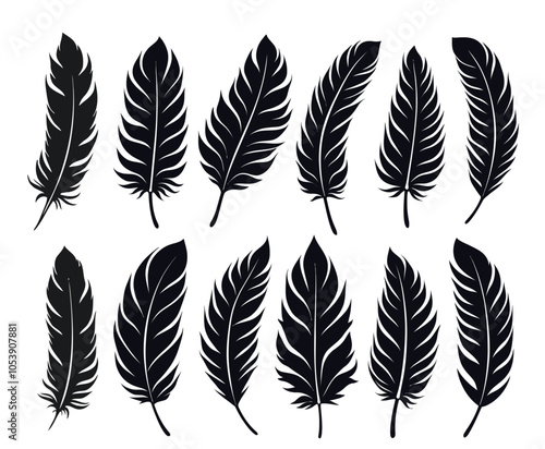 Creative Feather Icons Beautifully Designed Winged Shapes Vector