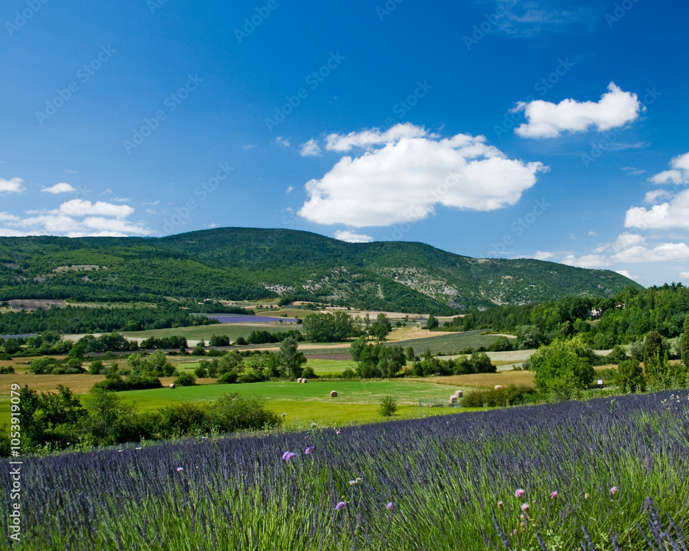 Obraz premium French Countryside in the Luberon