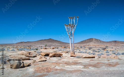 Landschaft am Berg Blutkuppe, Namib Naukluft Nationalpark, Namibia photo