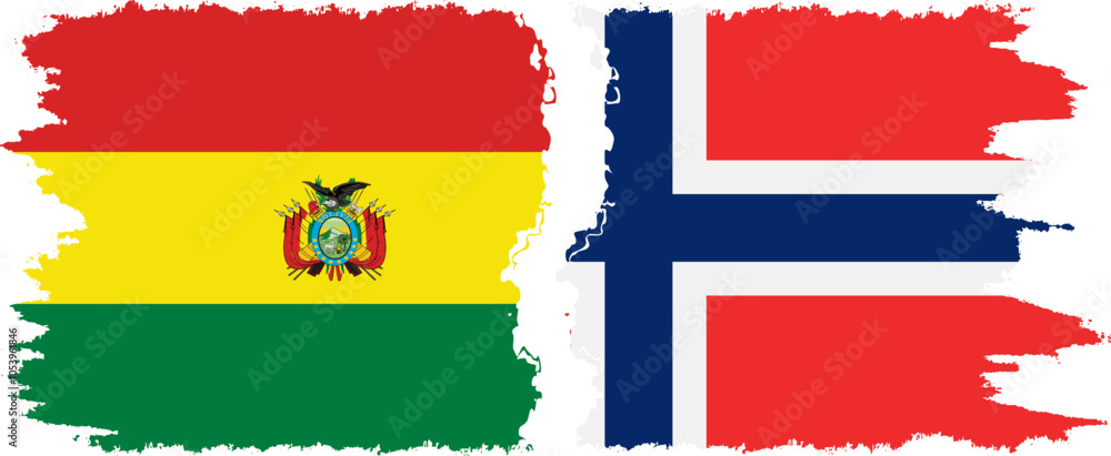 Obraz premium Norway and Bolivia grunge flags connection, vector