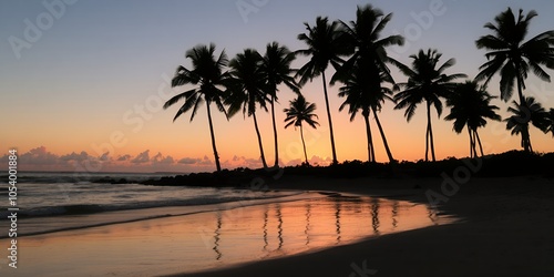 Silhouettes of palm trees on a tropical beach at sunset.