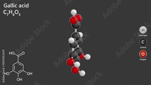 Gallic Acid. Antioxidant. Animated 3D model of a molecule. Molecular formula: C7H6O5. Chemical model: Ball and stick. Gray background. 3D rendering. Seamless loop. photo