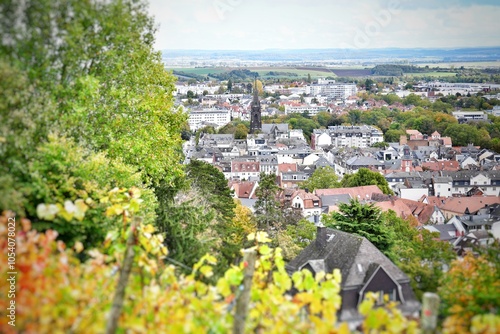 view of the city Bad Nauheim photo