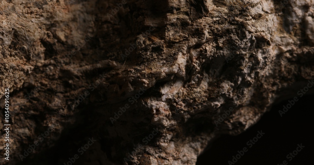 Close-up of Weathered Stone Surface with Cracks Close-up of Weathered Stone Surface with Cracks