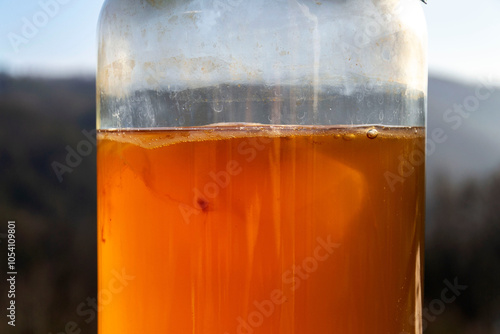 Kombucha natural fermented tea in glass jar, healthy drink of Asian origin photo