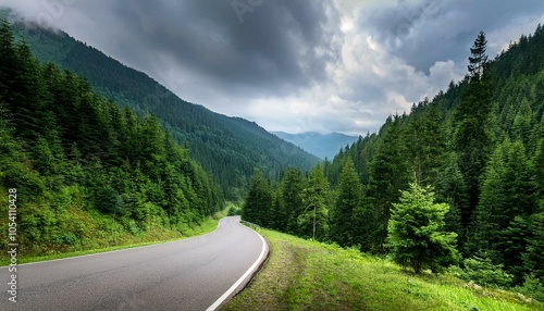 Road between forest landscapes