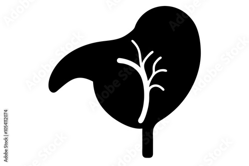 Spleen silhouette vector photo