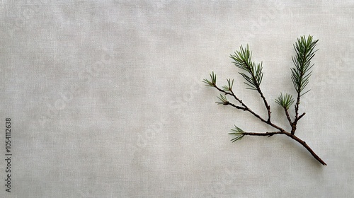 Minimalist garland with a few pine branches on a soft gray canvas background photo