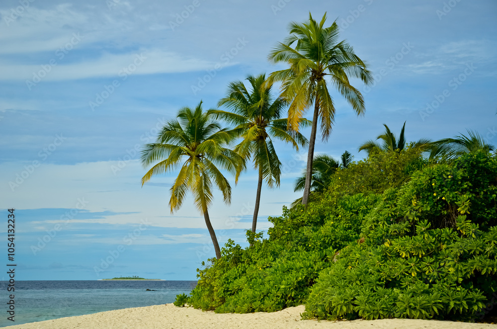 Obraz premium beach with palm trees