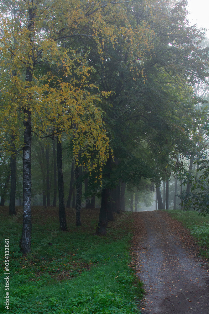 Autumn in Moldova, foggy landscape in the park. Thick fog early in the morning on the lake shore.