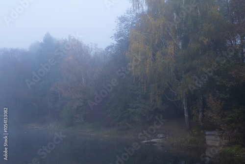Obraz na płótnie Autumn in Moldova, foggy landscape in the park. Thick fog early in the morning on the lake shore. w salonie