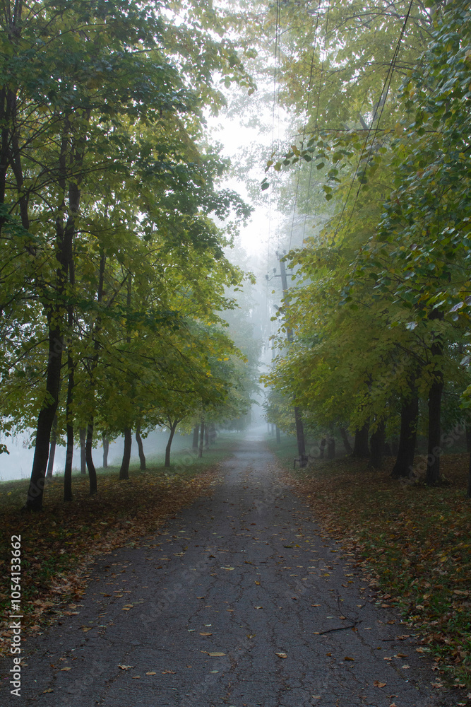 Autumn in Moldova, foggy landscape in the park. Thick fog early in the morning on the lake shore.