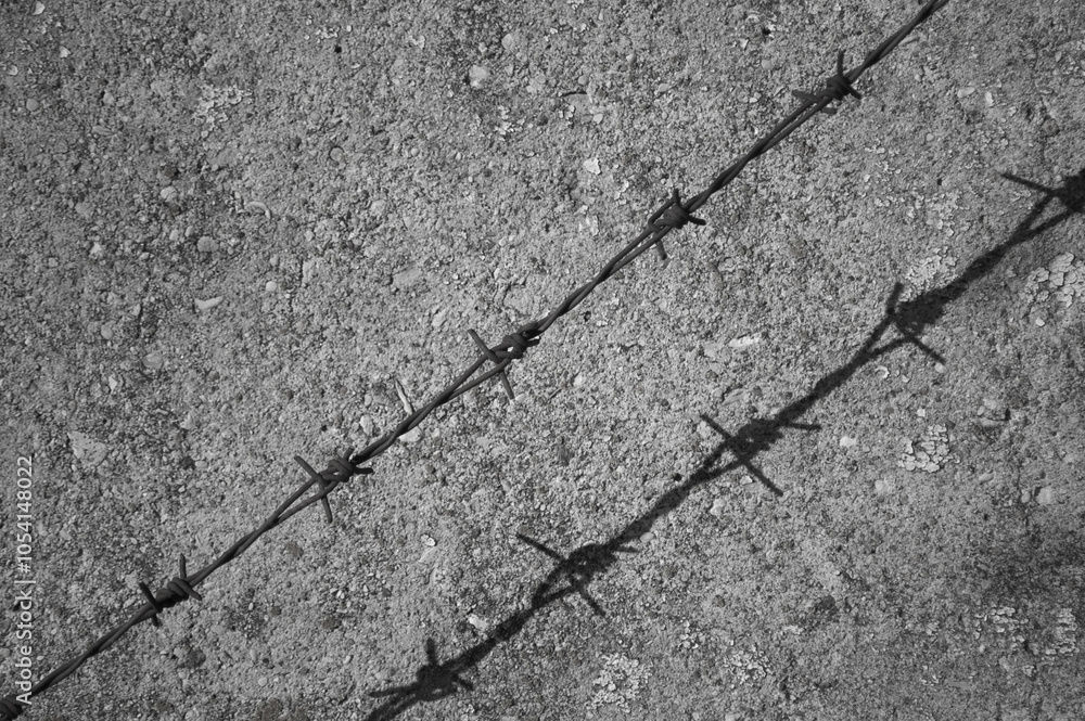 Obraz premium barbed wire and its shadow against a grey concrete wall